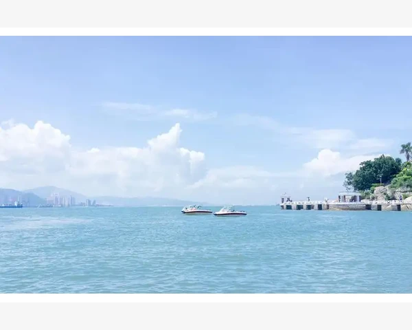 参苓健脾胃的长期服用探讨