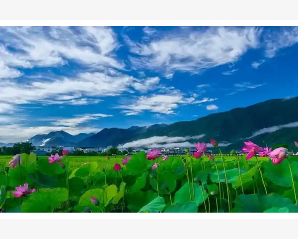 女性补气补肾吃什么药更好？中医科普指南